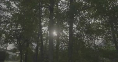 Tatra Dağları 'ndaki göl Strbskie Pleso. Sisli dağlarda, filmler dingin gölleri tasvir eder. Bulutlu gökyüzü kasvetli bir atmosfer yaratıyor. Yansımalar dalgalanır, sahneye ruhani bir cazibe katar. Doğanın güzelliği bulutlar tarafından engellenmeden parlıyor.