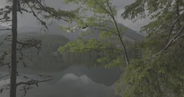 Lake Tatra Mountains Strbskie Pleso Misty Mountains Films Portray Serene — Stock Video