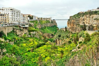   Cezayir 'in Konstantin şehrinin bir tepenin üzerindeki panoraması                         
