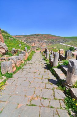 Cezayir 'deki Roma şehri Tiddis' in harabelerinin manzarası