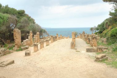 Cezayir 'deki Roma şehri Tipaza' nın kalıntıları