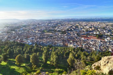Cezayir şehri Tlemcen 'in Panoraması