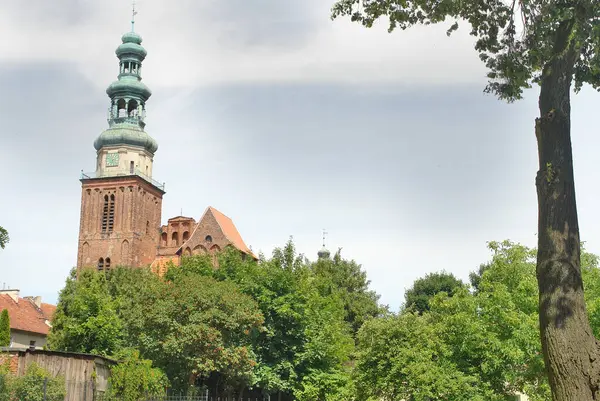 Szentháromság Bazilikája Lengyelországi Chemában Jogdíjmentes Stock Fotók