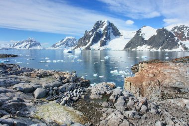     Petersmann Adası 'ndaki Antarktika Panoraması                           