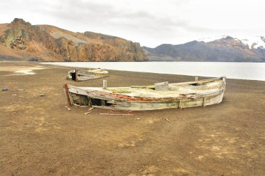      Antarktika Aldatma Adası 'ndaki terk edilmiş balina avlama istasyonu                          