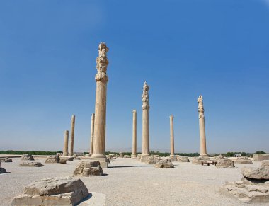 Persepolis 'teki Darius I' in Apadana (seyirci salonu)