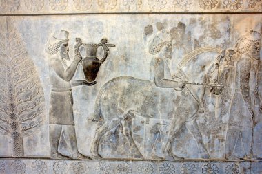 Persepolis, İran 'daki Achaemenid krallarına saygılarını sunan İran İmparatorluğu' ndan gelen heyetleri tasvir eden kabartmalar.