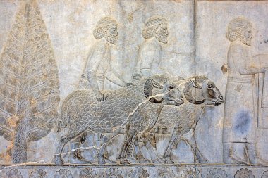 Persepolis, İran 'daki Achaemenid krallarına saygılarını sunan İran İmparatorluğu' ndan gelen heyetleri tasvir eden kabartmalar.