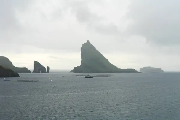 Stock image         Sea rocks near the village of Gasadalur in the Faroe Islands                       