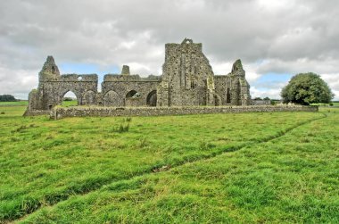 Hore Abbey (ayrıca Hoare Manastırı, bazen St Mary olarak da bilinir) Cashel Kayası yakınlarındaki harabe bir manastır.