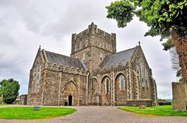 St. Brigid Katedrali Kildare Kilisesi
