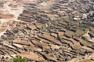      Yemenli tarlaların manzarası                          