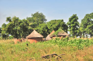    Benin 'deki geleneksel Afrika köyü                            