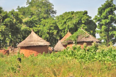    Benin 'deki geleneksel Afrika köyü                            