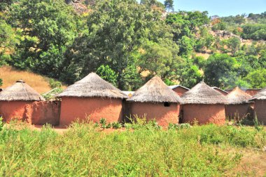    Benin 'deki geleneksel Afrika köyü                            