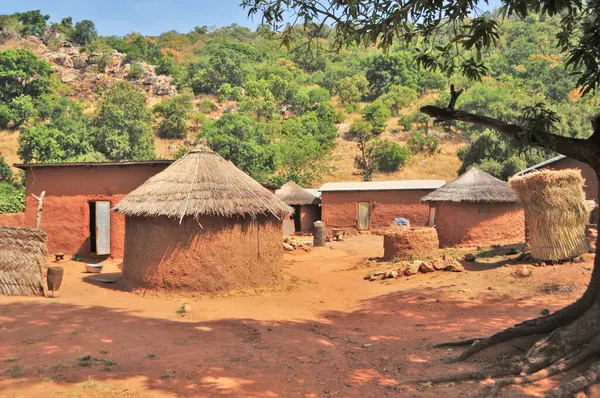    Benin 'deki geleneksel Afrika köyü                            