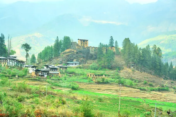       Bhutan 'daki antik Drukgyel Dzong kalıntısı                         