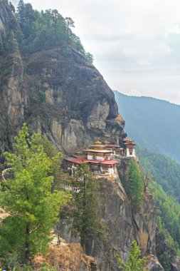 Taktshang Manastırı, Bhutan 'da bir kaya kayalığında kaplan yuvası olarak adlandırıldı.