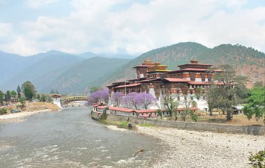 The Punakha Dzong administrative centre of Punakha District in Punakha, Bhutan clipart