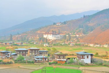   Bhutan 'daki Paro Ta-dzong tarihi binası.                             