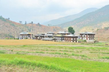         Bhutan 'daki teraslı tarlaların görüntüsü                       