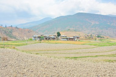        Bhutan 'daki teraslı tarlaların görüntüsü                       