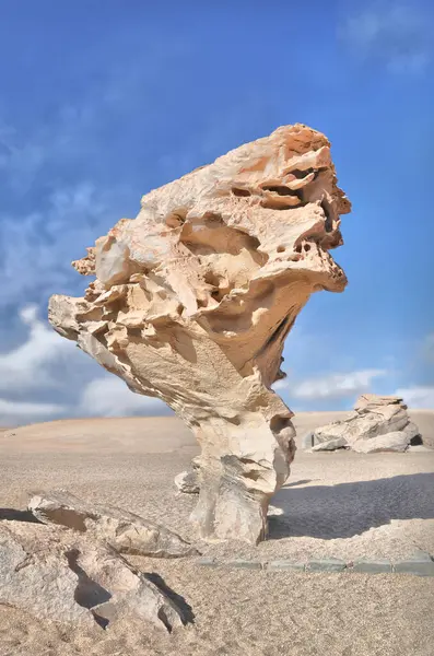 arbol de Piedra (