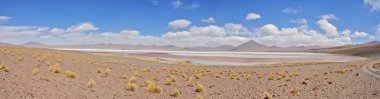 Bolivya altiplanosunun güneybatısında Laguna Colorada (Kırmızı Lagoon) sığ tuz gölü