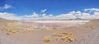 Laguna Colorada (Red Lagoon)  shallow salt lake in the southwest of the altiplano of Bolivia clipart