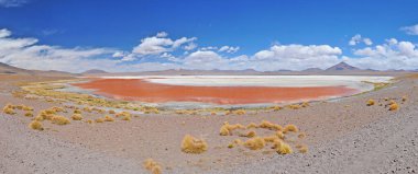 Laguna Colorada (Red Lagoon)  shallow salt lake in the southwest of the altiplano of Bolivia clipart