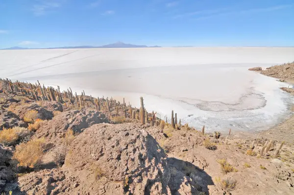 Bolivya 'nın Salar de Uyuni adasının ortasında yer alan Incahuasi adası ve kayalık arazi.