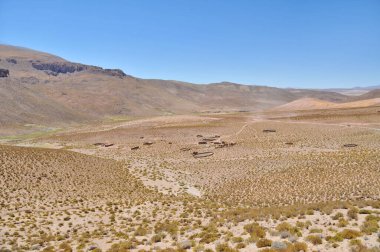 Güney Bolivya 'daki fakir köyler