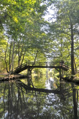 Spree Ormanı ya da Spreewald Nehri 'nin iç kısımlarında geniş bir delta. Almanya' da kanallarla doludur.