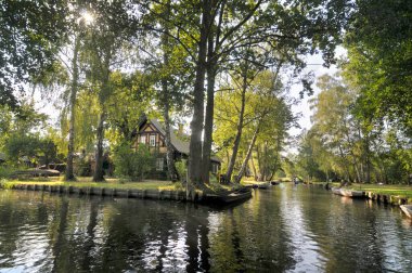 Spree Ormanı ya da Spreewald Nehri 'nin iç kısımlarında geniş bir delta. Almanya' da kanallarla doludur.