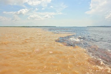    Toplantı, Rio Negro suları ve Amazon nehri veya Rio Solimoes Manaus, Amazonas, Brezilya Güney Amerika'da yakınındaki.                             