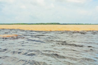    Toplantı, Rio Negro suları ve Amazon nehri veya Rio Solimoes Manaus, Amazonas, Brezilya Güney Amerika'da yakınındaki.                             
