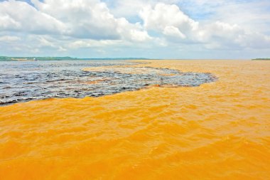    Meeting of the Waters of Rio Negro and the Amazon River or Rio Solimoes near Manaus, Amazonas, Brazil in South America.                              clipart