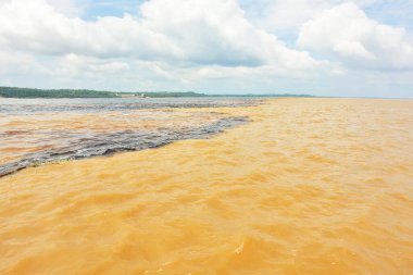    Toplantı, Rio Negro suları ve Amazon nehri veya Rio Solimoes Manaus, Amazonas, Brezilya Güney Amerika'da yakınındaki.                             