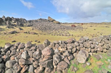 The fallen Moai giants of Akahanga on Eastern Island, Chile clipart