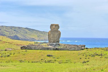 Rapa Nui Ulusal Parkı 'ndaki Anakena mercan kumsalı (Paskalya Adası) wirh Ahu-Ature tek moai ve Ahu Nao-Nao yedi moai ile