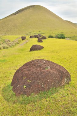  Kızıl Akrep 'in Puna Pau kaynağı Paskalya Adası' ndaki moai heykelleri için pukao (topuzlar) oymak için kullanılır.                              