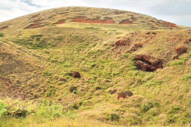  Kızıl Akrep 'in Puna Pau kaynağı Paskalya Adası' ndaki moai heykelleri için pukao (topuzlar) oymak için kullanılır.                              