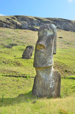 Moai heykelleri, Paskalya Adası 'ndaki Rano Raraku yanardağının yamaçlarına bırakıldı.