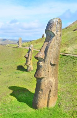 Moai statues abandoned on the slopes of the Rano Raraku volcano on Easter Island clipart