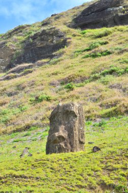 Moai heykelleri, Paskalya Adası 'ndaki Rano Raraku yanardağının yamaçlarına bırakıldı.