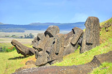 Moai heykelleri, Paskalya Adası 'ndaki Rano Raraku yanardağının yamaçlarına bırakıldı.