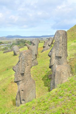 Moai heykelleri, Paskalya Adası 'ndaki Rano Raraku yanardağının yamaçlarına bırakıldı.