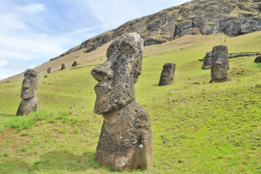 Moai heykelleri, Paskalya Adası 'ndaki Rano Raraku yanardağının yamaçlarına bırakıldı.