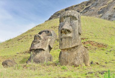 Moai heykelleri, Paskalya Adası 'ndaki Rano Raraku yanardağının yamaçlarına bırakıldı.