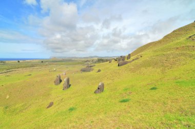 Moai heykelleri, Paskalya Adası 'ndaki Rano Raraku yanardağının yamaçlarına bırakıldı.